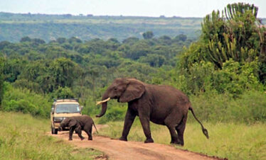 shimba hills day tour