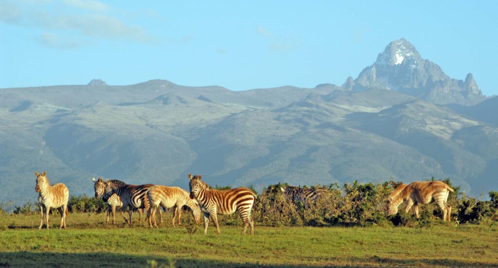 Kenya safari locations — open savannah landscape with acacia trees and Mount Kenya in the background at golden hour