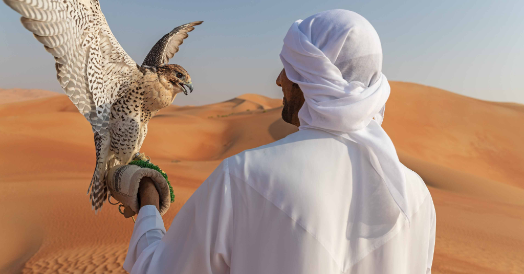 Dubai Safari 4 Dubai safari activities — falconer with golden falcon on glove during traditional falconry demonstration at desert camp, Dubai safari cultural experience