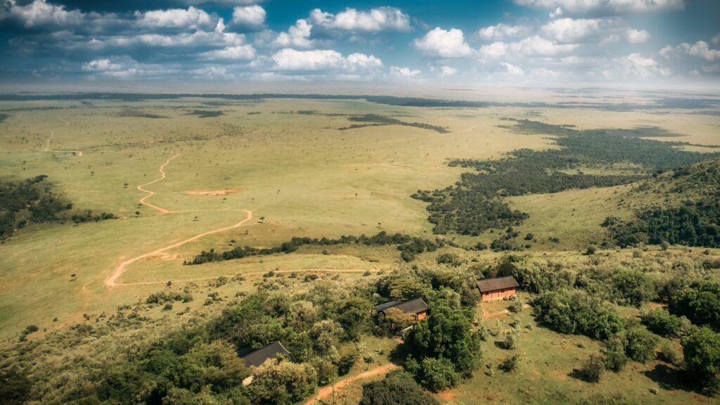 Aerial view of Maasai Mara savanna at golden hour with elephants and acacia trees
