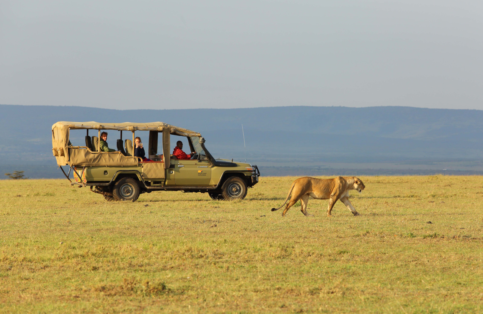 Safari 4x4 vehicle on game drive during 3 days Masai Mara safari at sunrise