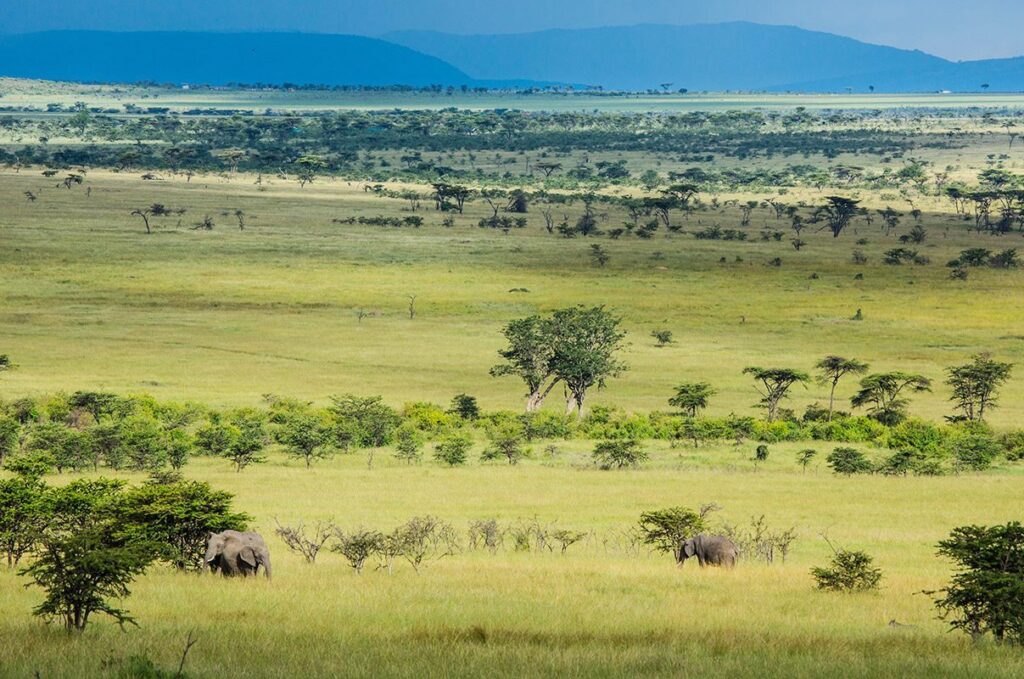 Masai Mara Safari Packages