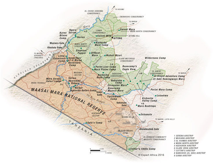 Masai Mara Safari 2 Masai Mara safari map showing brown savannah zones green vegetation Mara River and conservancies