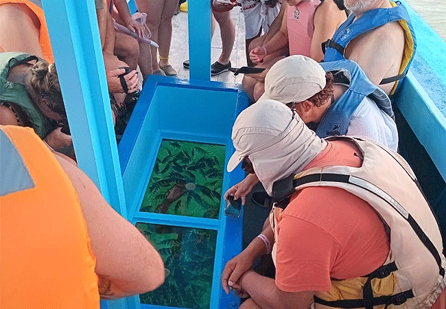 Armani Tours guide explaining coral reef conservation during Mombasa Marine Park Day Tour eco briefing