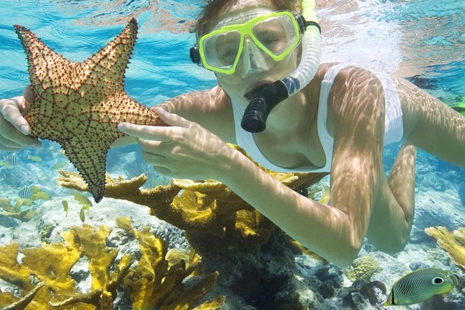 Two snorkeling sites visited during Mombasa Marine Park Day Tour showcasing coral garden diversity