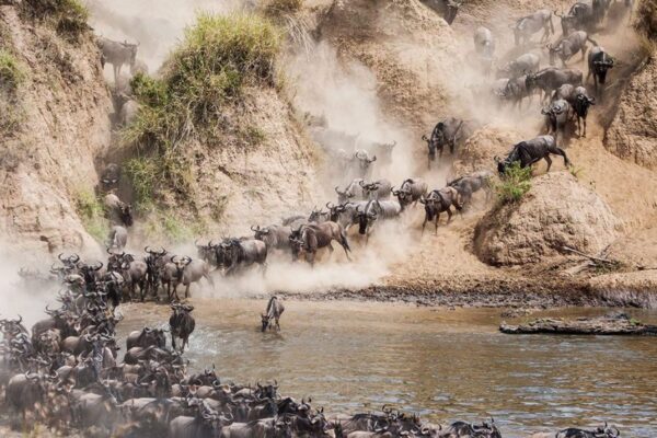 5 Days Masai Mara Safari