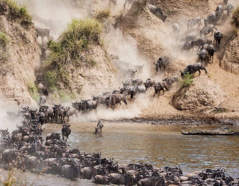 5 days masai mara safari