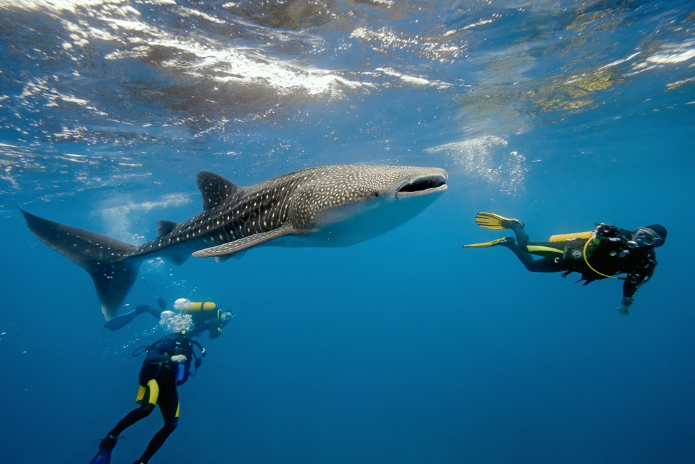 Things To Do In Zanzibar