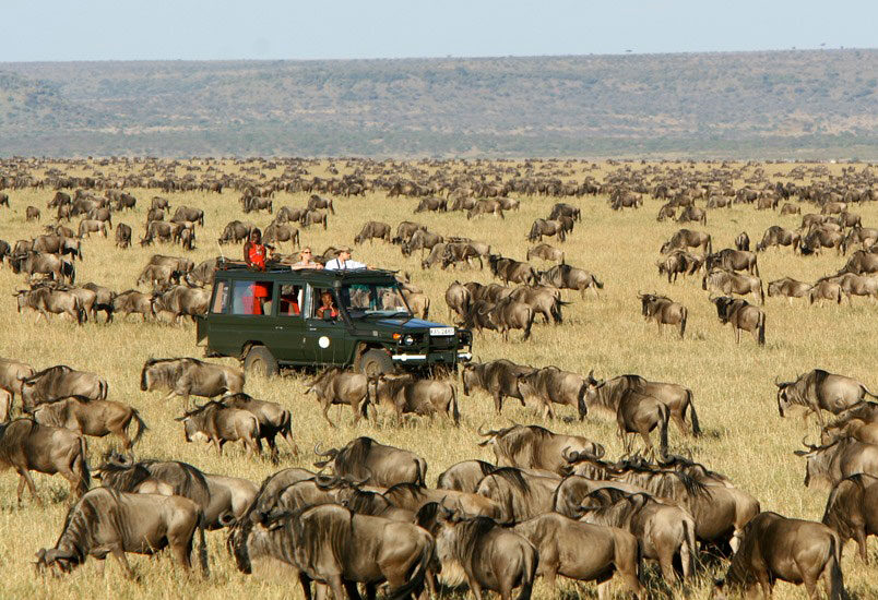 Kenya-Tanzania Combined Safari + Zanzibar