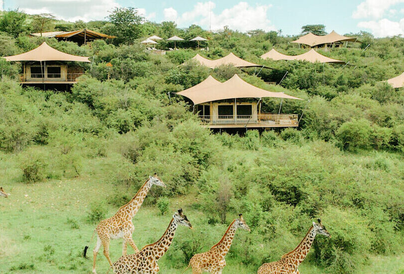 Masai Mara Lodges And Camps 53 Mara Bushtop Luxury Camp