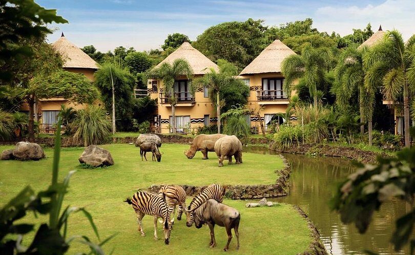 Masai Mara Lodges And Camps 16 Mara River Lodge