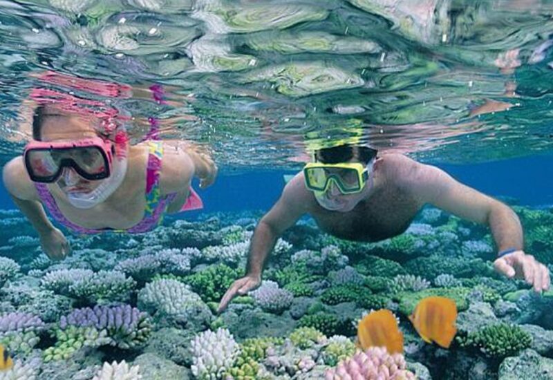 Zanzibar Beach Resorts 62 Mnemba Atoll Snorkeling