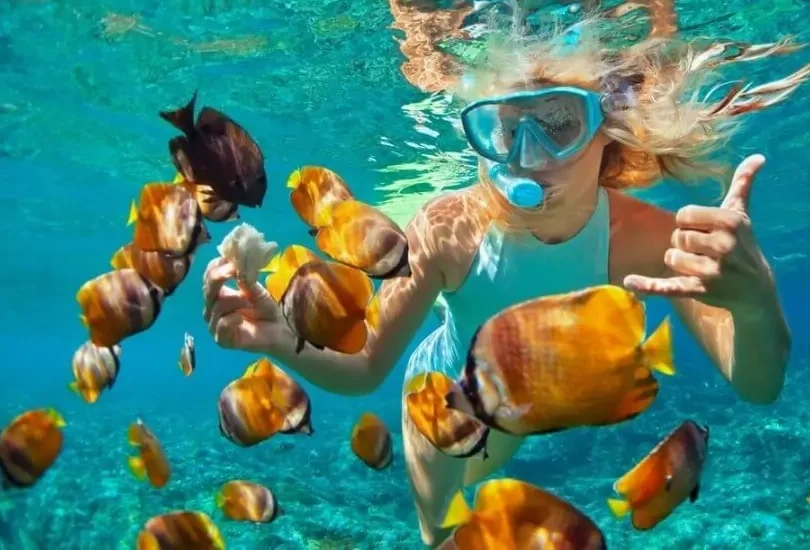 Prison Island Snorkeling Coral Reef