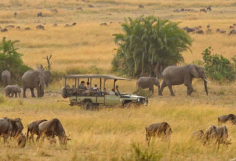 Zanzibar Beach Resorts 73 Classic Tanzania Safari & Zanzibar