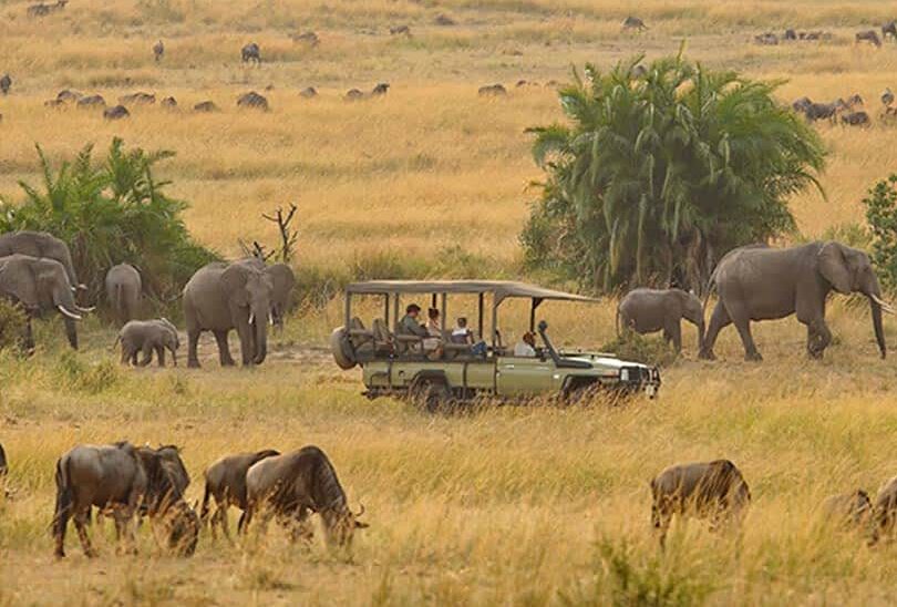 Classic Serengeti Safari + Zanzibar Beach