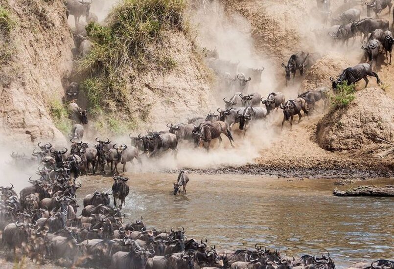 Great Migration Safari + Luxury Zanzibar