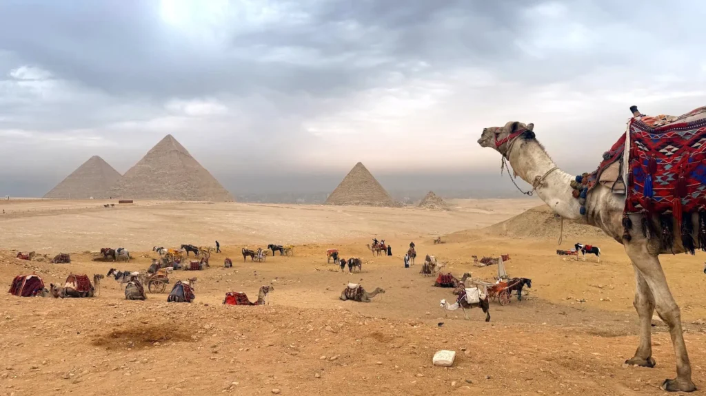 Egypt Tours 4 Diverse Egypt tour experiences ranging from adventure activities to luxury cultural immersion