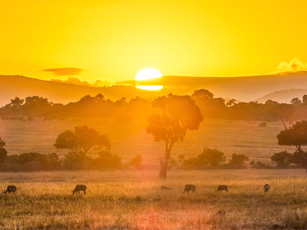 Masai Mara Trip Cost 2 Masai Mara trip cost affordable safari sunrise over golden plains wildlife photography Kenya experience