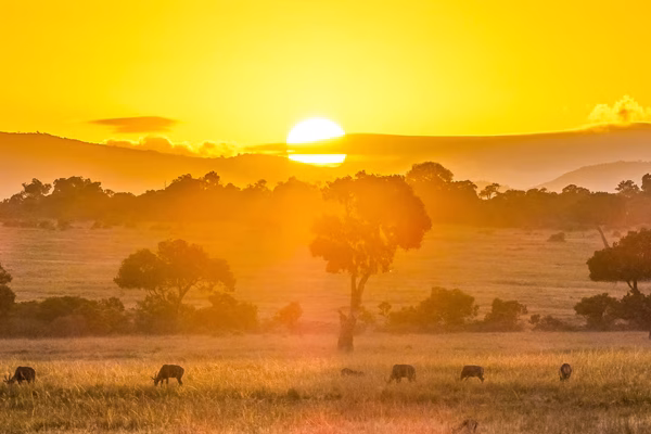 Masai Mara Trip Cost