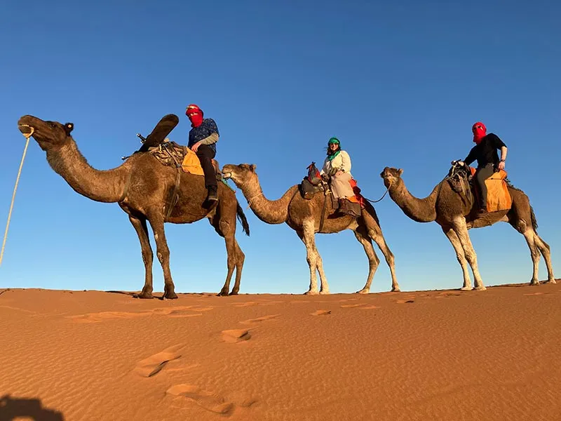 Morocco Sahara Desert landscapes and camel trekking featured in the best Morocco tours and adventure packages